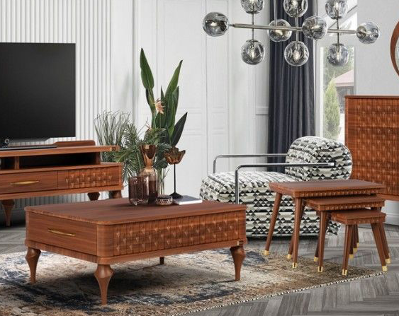 جلو مبلی و عسلی دلوین